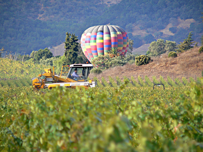 Hot Air Balloon in Napa County